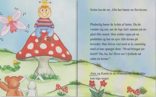 Babybogen – barnets bog til drenge-1365