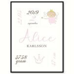 Den lille Prinsesse med ramme