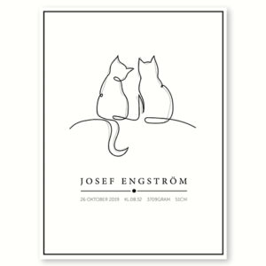 Katte - plakat med navn